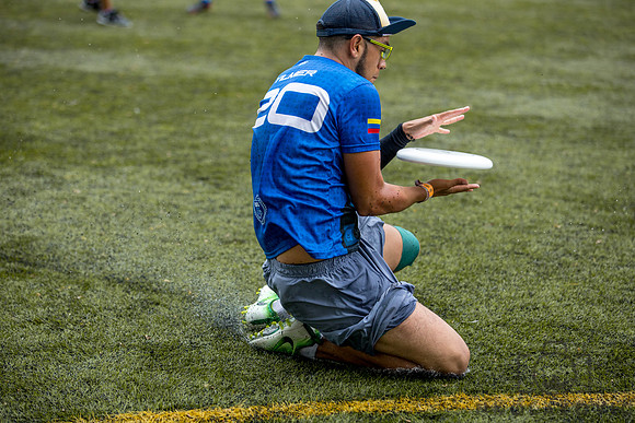 049A6531
