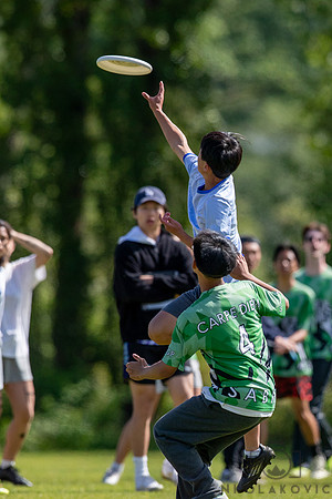 NK1D1653