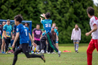 Disc Flicker Day 1 Full Coverage