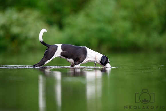 NTK_1316