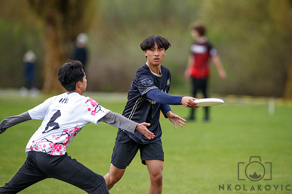 NK1D9681