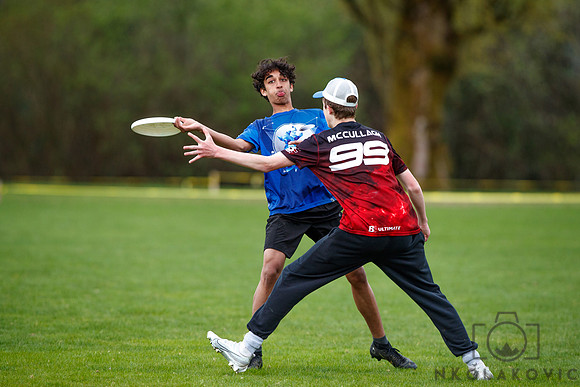 NK1D8448