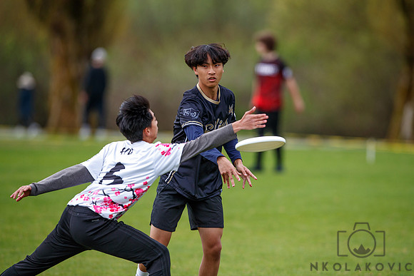 NK1D9682