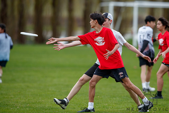 NK1D7340