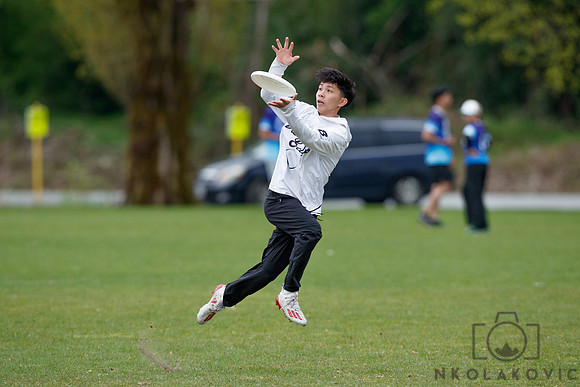 NK1D6861