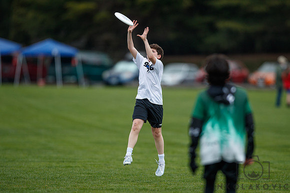 NK1D2227