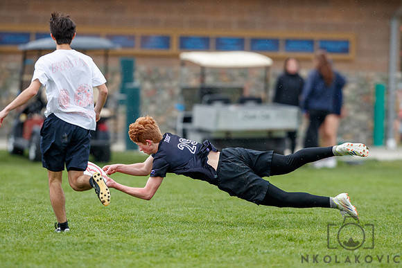 NK1D6325