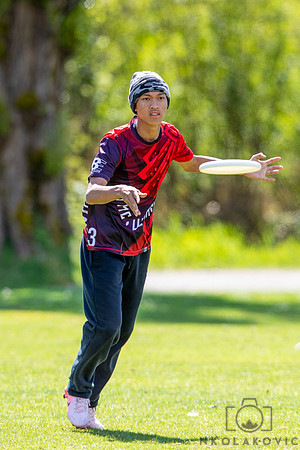 NK1D3941