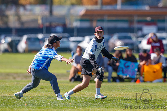 NK1D2082