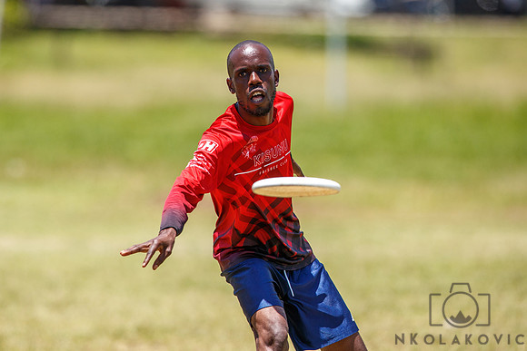 NK1D1354