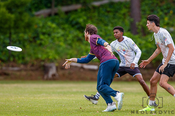 NK1D9147