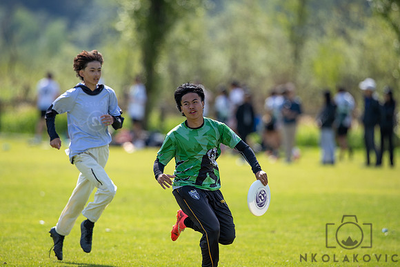 NK1D1554