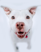 049A9369-Edit-Edit-Edit