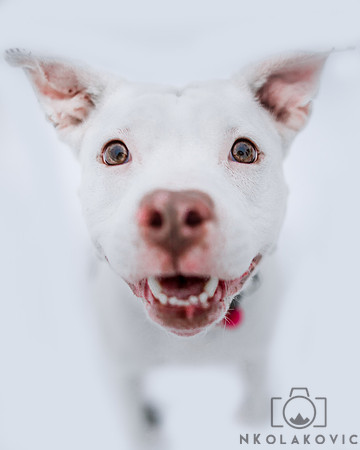 049A9369-Edit-Edit-Edit