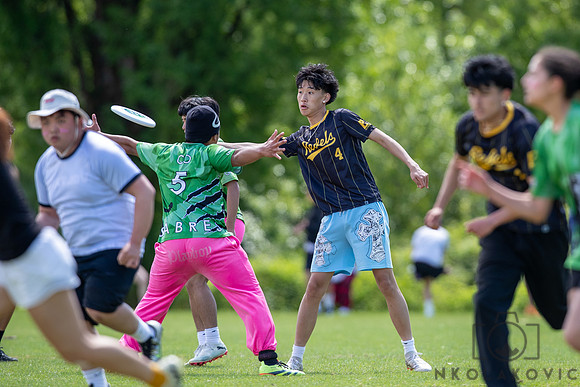 NK1D3278