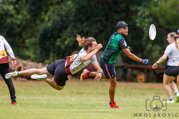 NK1D6422