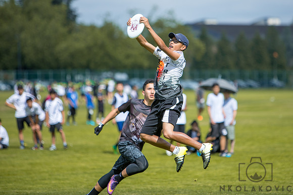 049A6853