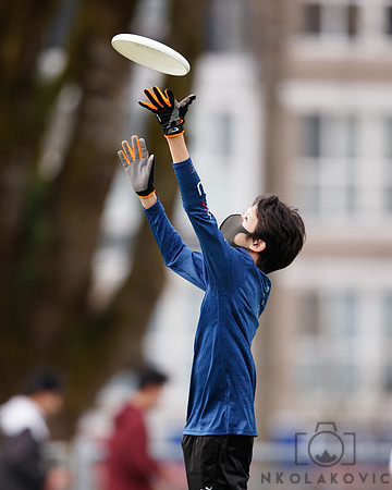 NTK_6439