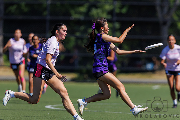 CSTR_16222