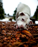 049A9516