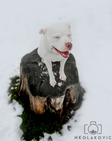 049A9352-Edit