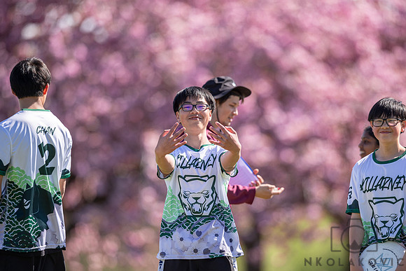 NK1D7726