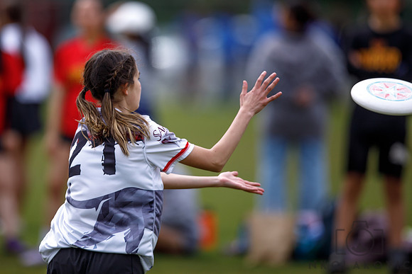 049A3545