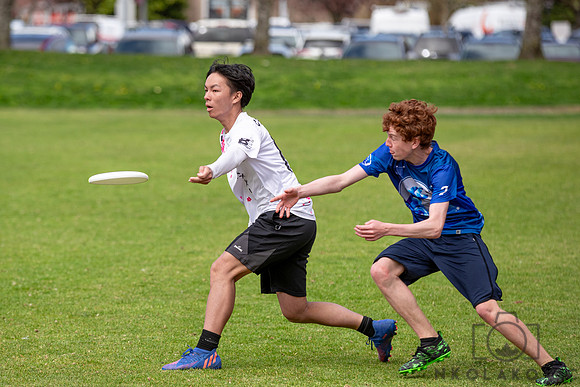NK1D9263
